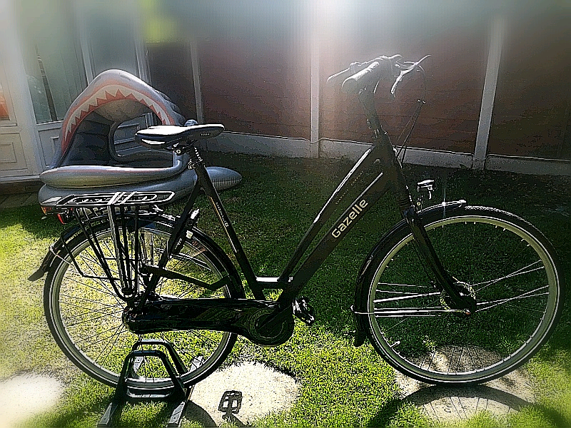 gazelle nexus 8